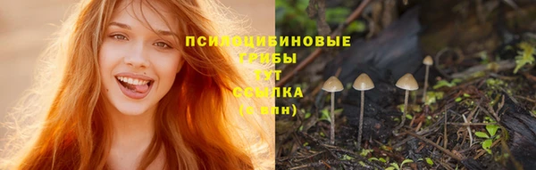 марки nbome Абаза