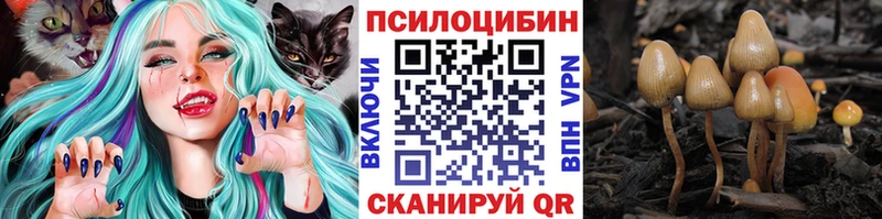 продажа наркотиков  Фокино  Псилоцибиновые грибы Magic Shrooms 