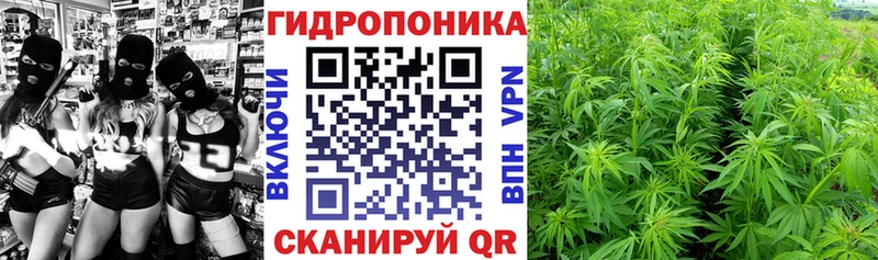 Шишки марихуана Amnesia Фокино